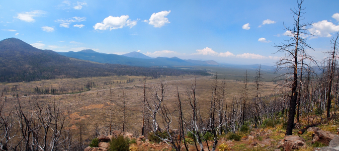 [Several photos stitched together of mountains in the distance with a large peak to the left. The middle of the image is a flat terrain well below the foreground burned out trees near the overlook platform.]